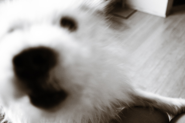Winkey: RAWR!