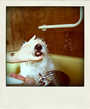 Trying to wash around Winkey’s mouth