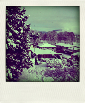 Polaroid of the snow in my backyard