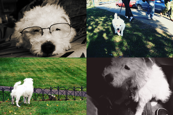 Recent photos of Winkey