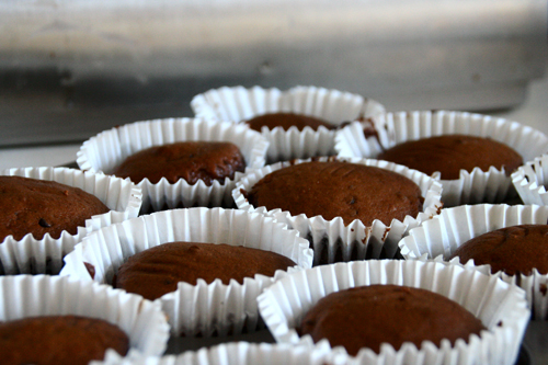 Baked cupcakes