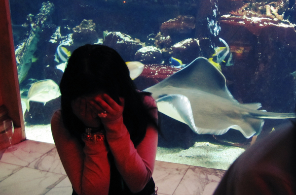 OH MY GOD STINGRAY